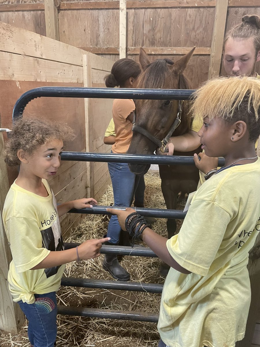 Eileen_Eller's tweet photo. More shots from @ahorsesfriend1 @RCSDNYS #RCSDSUMMER https://t.co/c2g5cWc6f6