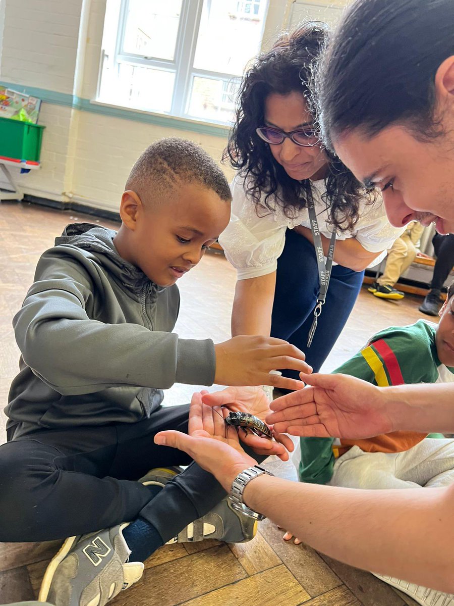 youngharrowf's tweet photo. What an amazing animal workshop there was today arranged by
@letsleaptweets with @OneWorldAnimal for their HAF program. The kids loved getting close to nature and gained new experiences and memories! Swipe to see what creatures they got to meet!
@educationgovuk @harrow_council https://t.co/nAOREtyfwA