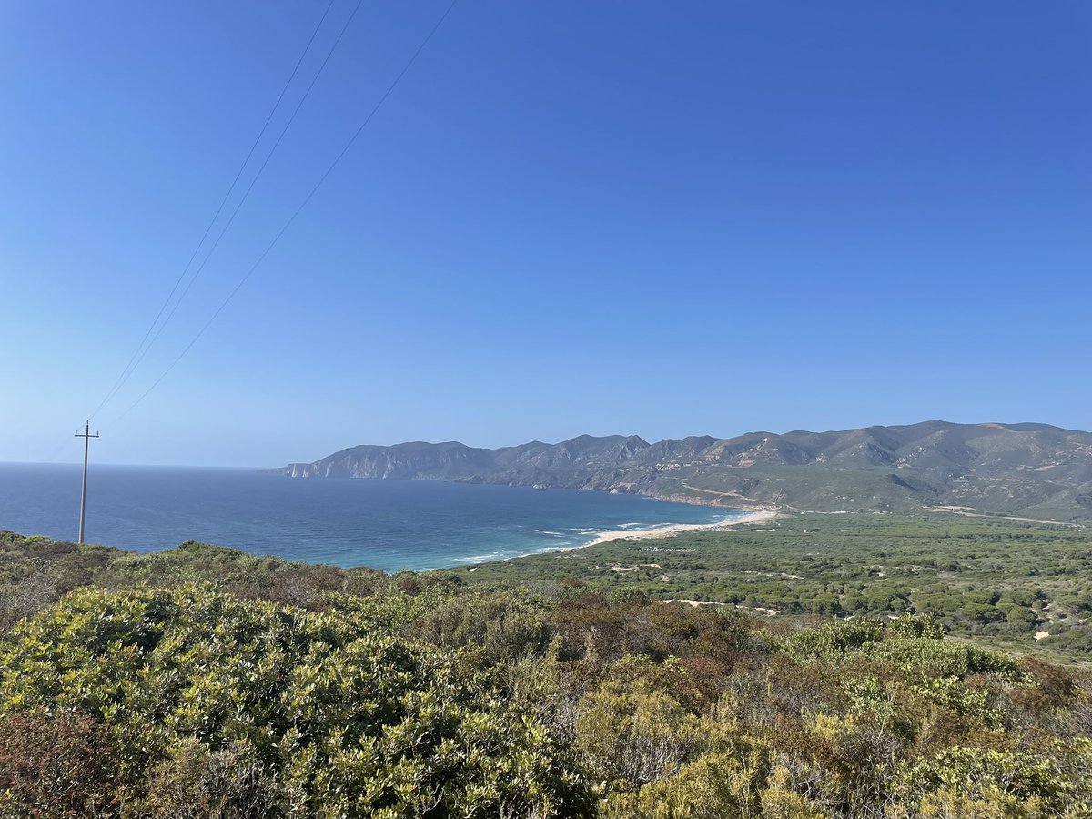 terraeolio's tweet photo. Di miniere, di tonnare e di mare
Sulcis https://t.co/KMpcq8VuWD