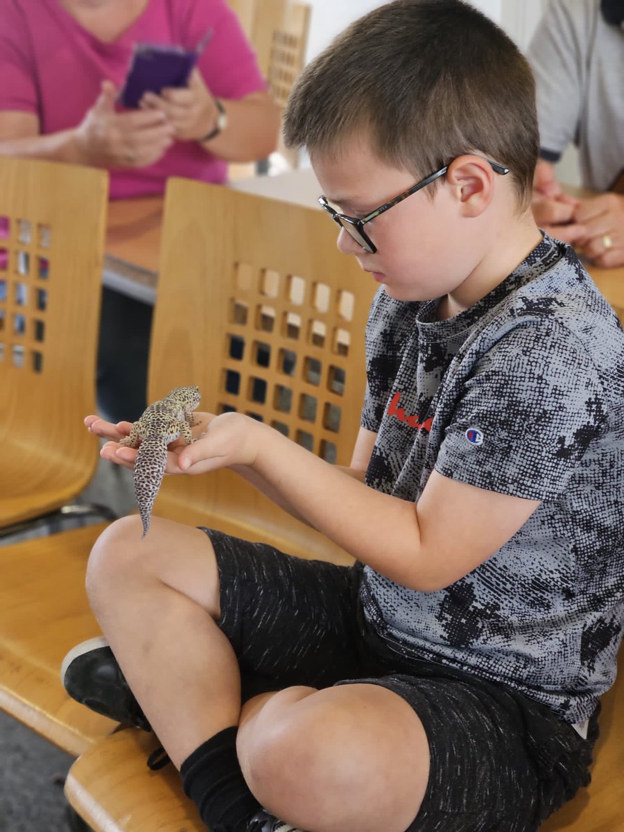 ActveCommunties's tweet image. Week 2 day 1! 

WOW! It was an eventful day to say the least! Take a peek at what we got up to around the city from our main sites to playstreets! 

Curious Critters
CircusHouse
NorthernRolling

@ForHousing
@CadisheadRhinos 

#HAF2023
#SalfordSummerOfFun
