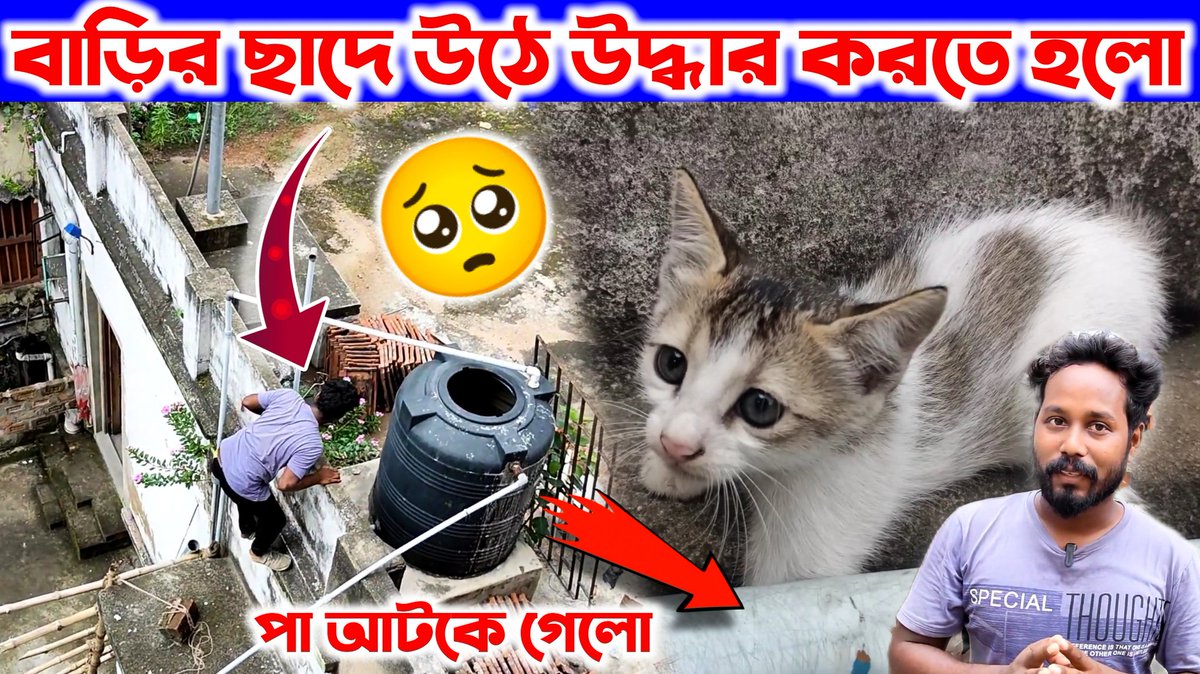 SamiranBarik14's tweet photo. ঠিক কাল দুপুরে একটা সময় আসতে চলেছে দেখতে ভুলবেন না কিন্তু।
#SamiranBarik ইউটিউব চ্যানেল  #saveanimals #saveNature https://t.co/UD6UTQ3LiA