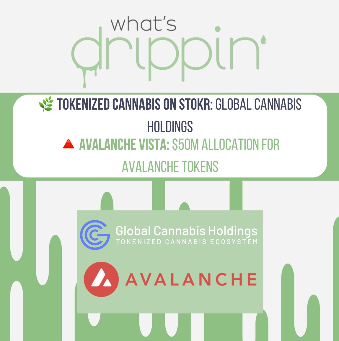 This week on the What's Drippin' Newsletter <a href="/Jason_Barraza_/">Jason Barraza | STM.co 🟢</a>  sheds some light on:

1️⃣ 🌿 Tokenized Cannabis on STOKR: Global Cannabis Holdings

@globalcannabisc Holdings (GCH) is “a tokenized cannabis ecosystem with equity positions in various cannabis companies and projects.”