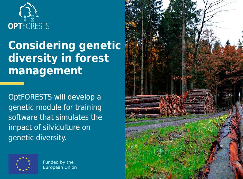OptFORESTS's tweet photo. #DiscoverOptFORESTS - Linking forest management &amp; genetic diversity is a priority for us (impacts of selective thinning, silviculture of genetically mixed stands, rescue of declining forests...). 
To this end, we'll work on solutions together with #forestry actors! #HorizonEU 🌳 https://t.co/CPiNiMBDyn