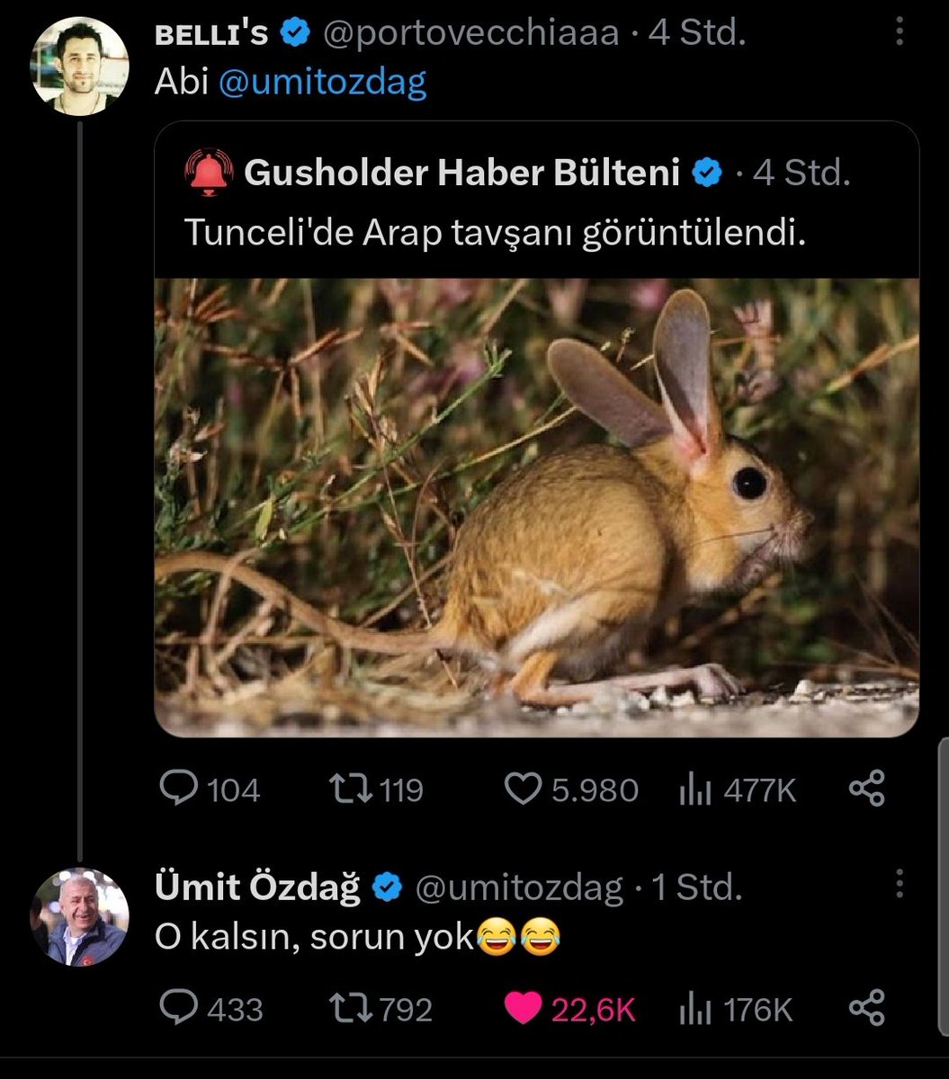 Alshhdhdjshshsjsghdkdllkf