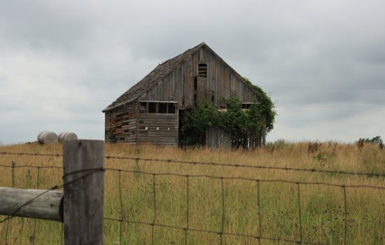 HaystackLand's tweet photo. Here's how setting up a trust can help you or your heirs to sell your land fast...if, and when you ever need to:
https://t.co/edzroUNH3v https://t.co/XWQP91vECn