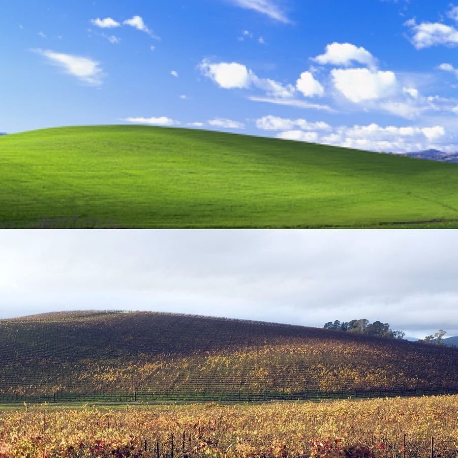 WelcomeBackETH's tweet photo. ETH vs Base, I don't make the rules https://t.co/wjXRzSGRsc