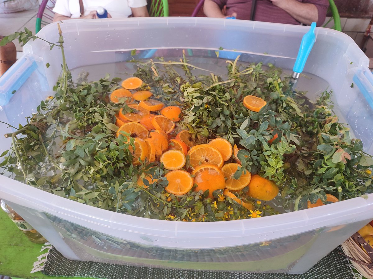 MarianMolas's tweet photo. *Caña, Ruda y Limón*

El Paseo de los Yuyos ya se prepara para la bebida tradicional del 1 de Agosto "el Carrulim", según costumbre paraguaya sirve para purificar la sangre y atraer la buena suerte 🍀 y vos vas a tomar el Carrulim mañana?? https://t.co/zuBtsJVemw