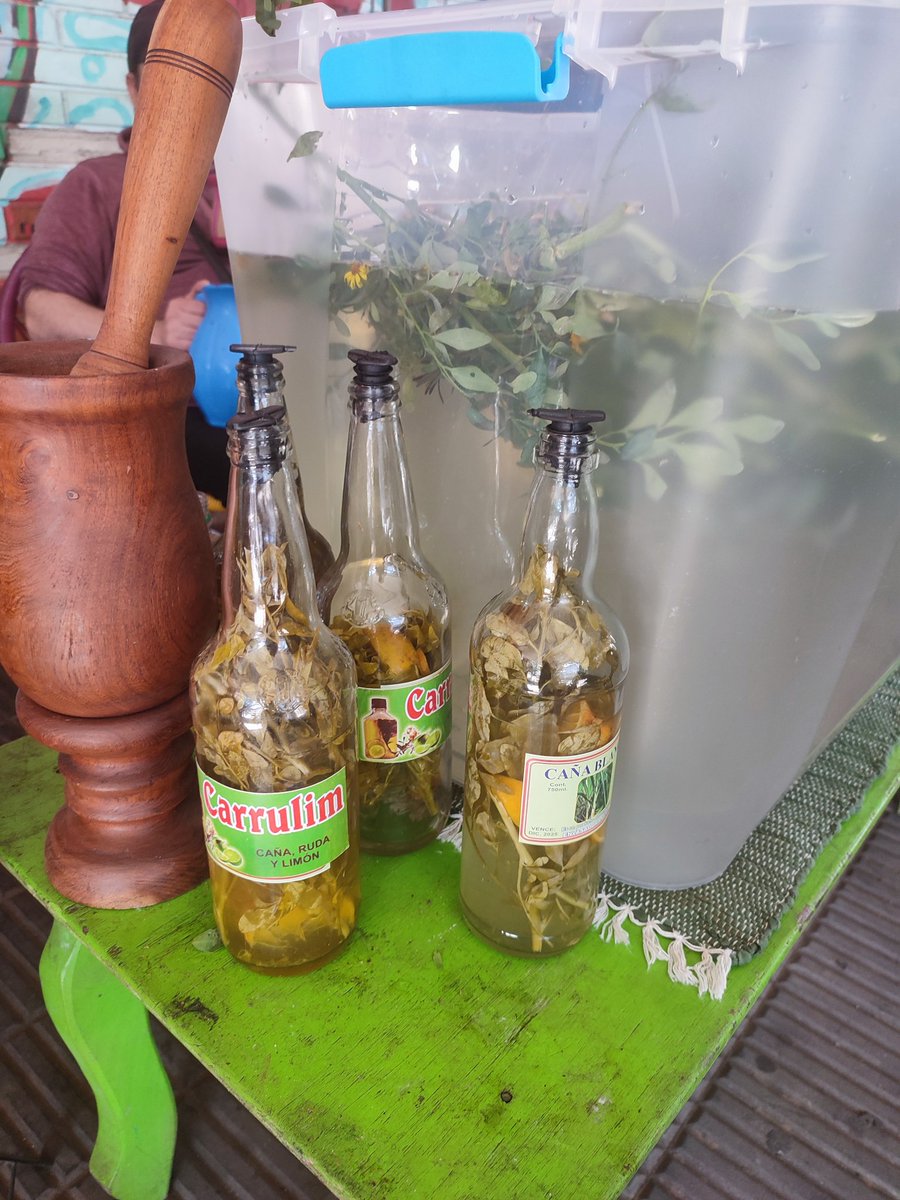 MarianMolas's tweet photo. *Caña, Ruda y Limón*

El Paseo de los Yuyos ya se prepara para la bebida tradicional del 1 de Agosto "el Carrulim", según costumbre paraguaya sirve para purificar la sangre y atraer la buena suerte 🍀 y vos vas a tomar el Carrulim mañana?? https://t.co/zuBtsJVemw