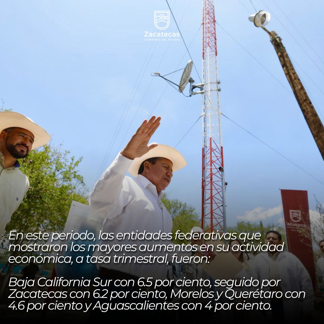 PED Zacatecas tweet media