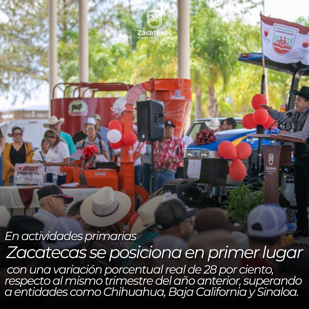 PED Zacatecas tweet media