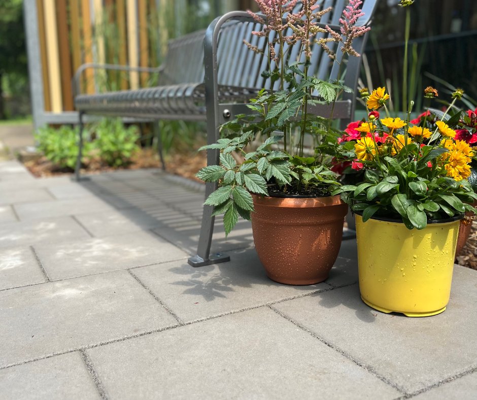 UnilockLife's tweet photo. Grab a book and head on over to the Burlington Public Library's Reading Garden.📚
—————
Project: Reading Garden (Burlington Public Library)
✎ #SeferianDesignGroup
👷♂️ #ELPLandscapes
—————
#Unilock #burlingtonpubliclibrary #beaconhillsmooth #pavers #hardscape #architecture https://t.co/uvFzYuTgAa