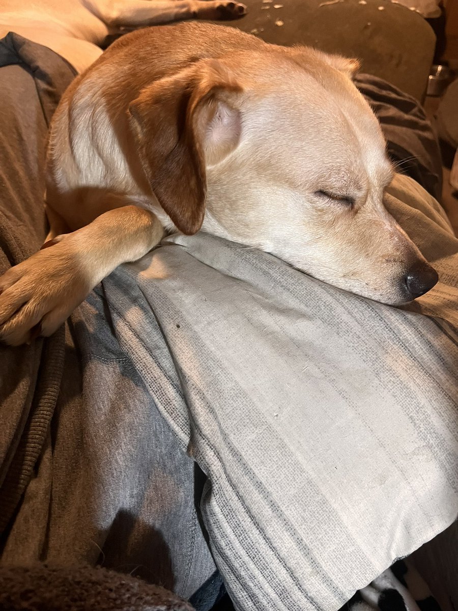 RhodhissMom's tweet photo. @WBTV_News https://t.co/Iifdk7bRi4