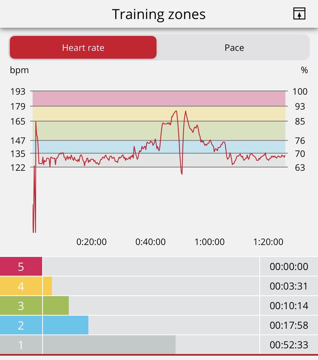 PepeInMex 🇲🇽 tweet media