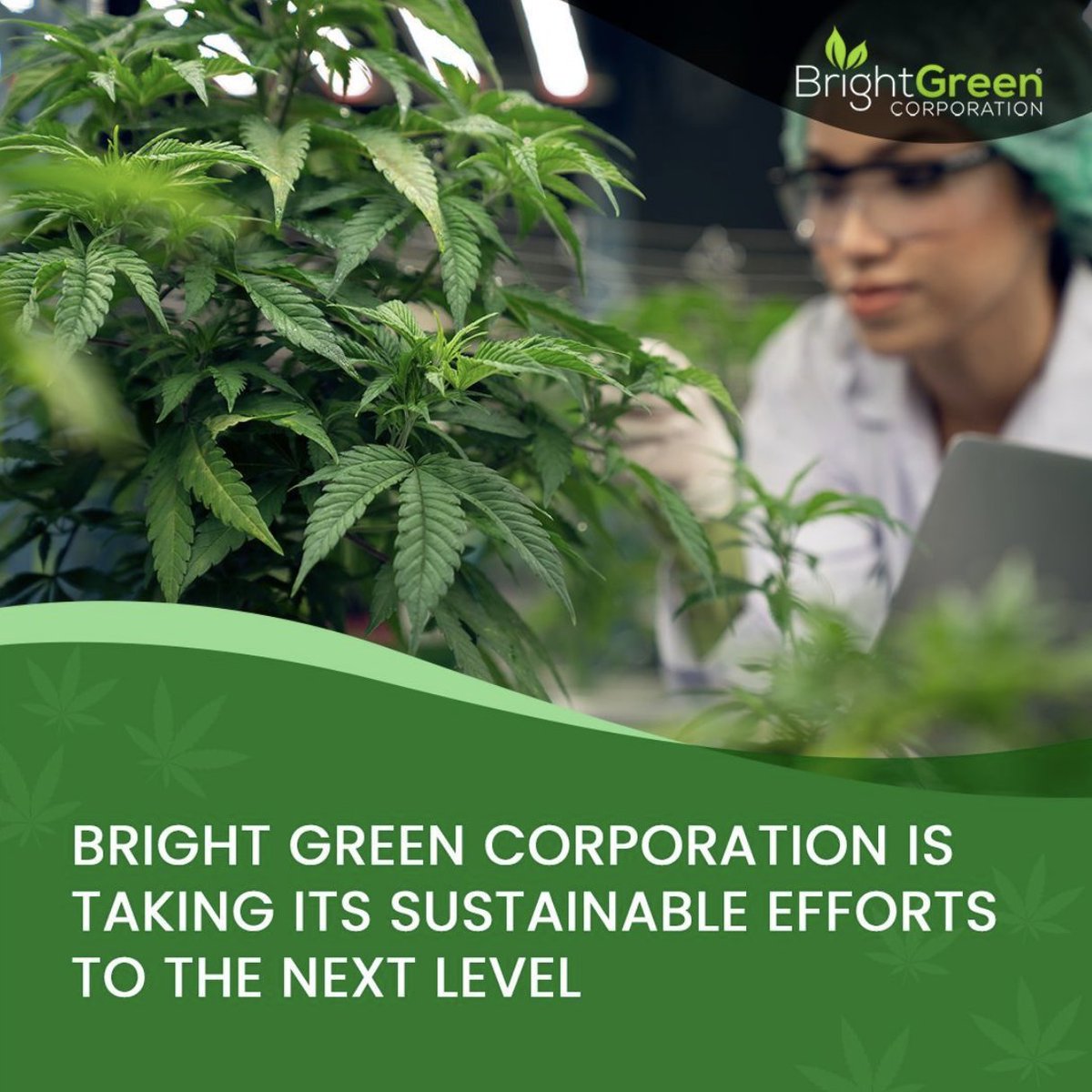 BrightGreenUSA's tweet photo. We have officially launched their EB-5 website and program after the ground-breaking federal registration and license approval from the U.S. Drug Enforcement Administration. Explore this unique opportunity to invest in their environmentally conscious projects

#BrightGreen https://t.co/yNwFlgCoNl