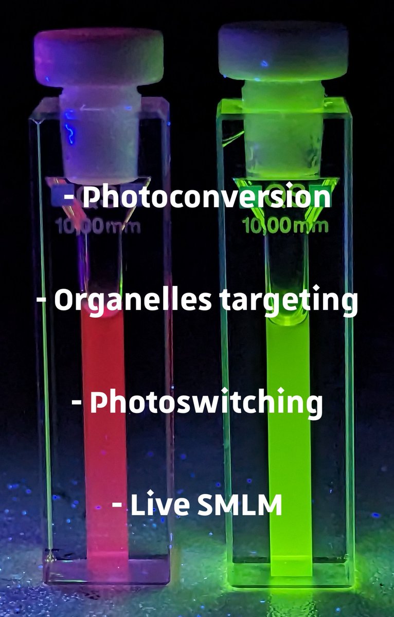 Lazare SALADIN (@saladinlazare) on Twitter photo Hey ! Check out our new preprint on Targeted Photoconvertible BODIPYs able to track organelles and used for Live SMLM !😃
<a href="/Mayeul_Collot/">Mayeul Collot</a> <a href="/LydiaDanglot/">Danglot</a> <a href="/BretonVictor2/">Breton Victor</a>
biorxiv.org/content/10.110… Hey ! Check out our new preprint on Targeted Photoconvertible BODIPYs able to track organelles and used for Live SMLM !😃
<a href="/Mayeul_Collot/">Mayeul Collot</a> <a href="/LydiaDanglot/">Danglot</a> <a href="/BretonVictor2/">Breton Victor</a>
biorxiv.org/content/10.110…