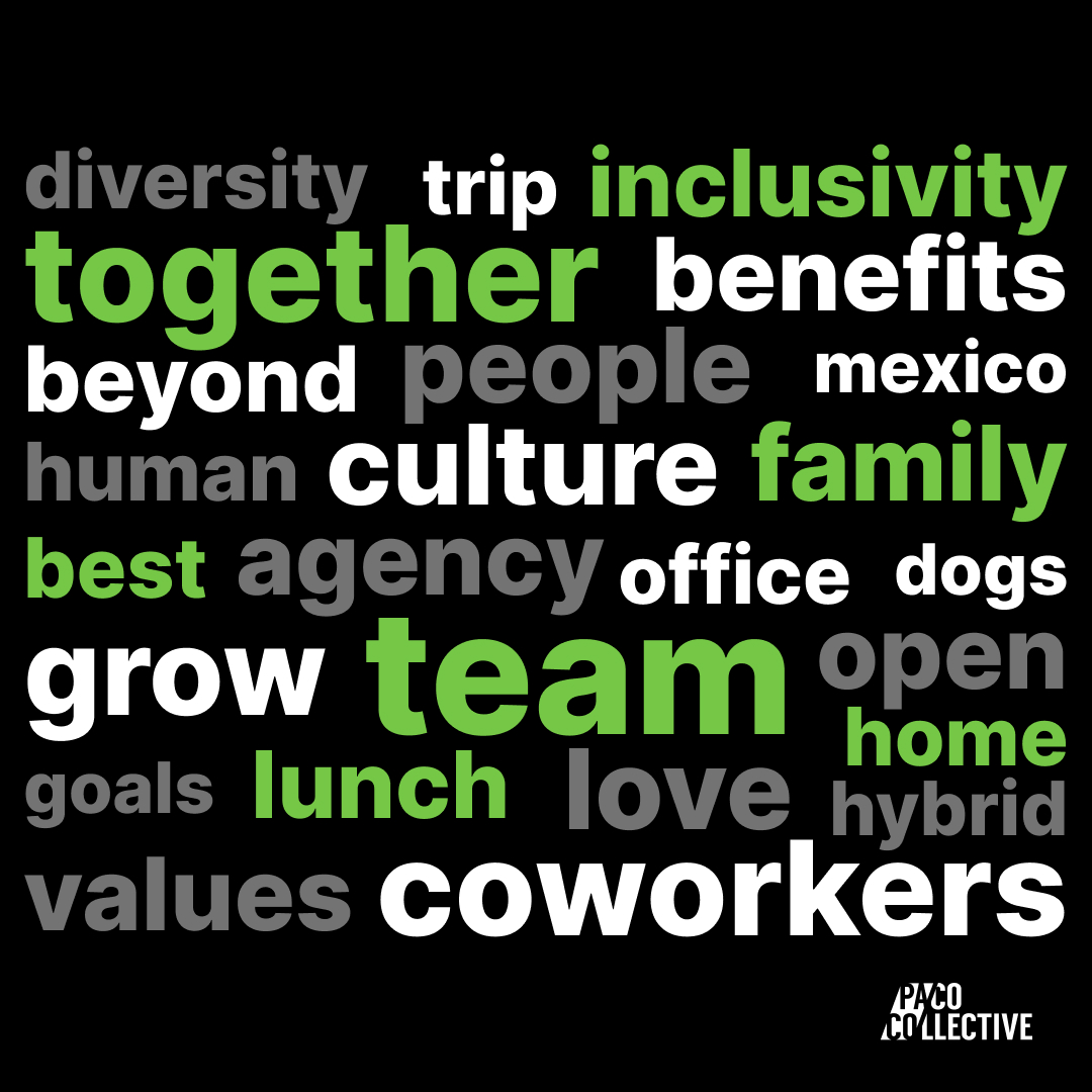 PACO Collective tweet media