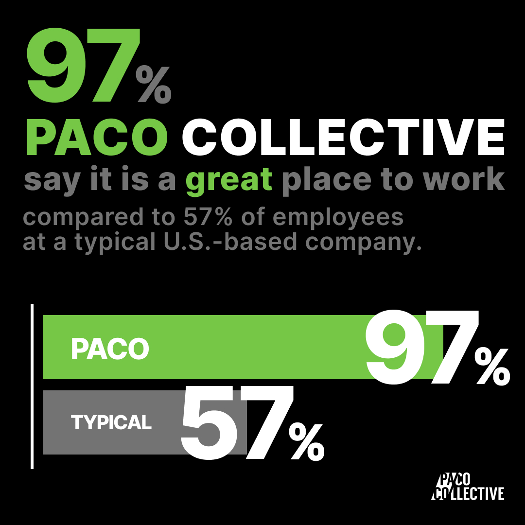 PACO Collective tweet media