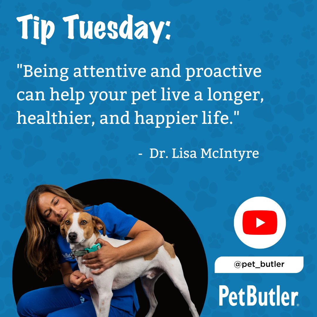 PetButler's tweet photo. Follow Dr. Lisa's advice to keep your pet happy and healthy. 🐶💪 Watch this week's Pet Wellness video: https://t.co/MwcDdzJKnb #PetButler #Dogs #PetWellness https://t.co/8D4tn3q9gS