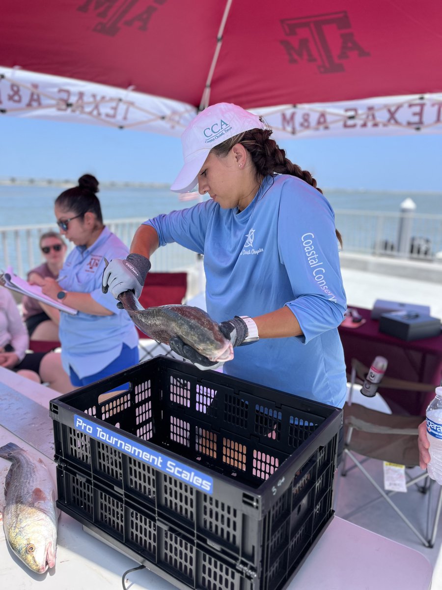 Sportfish Center tweet media