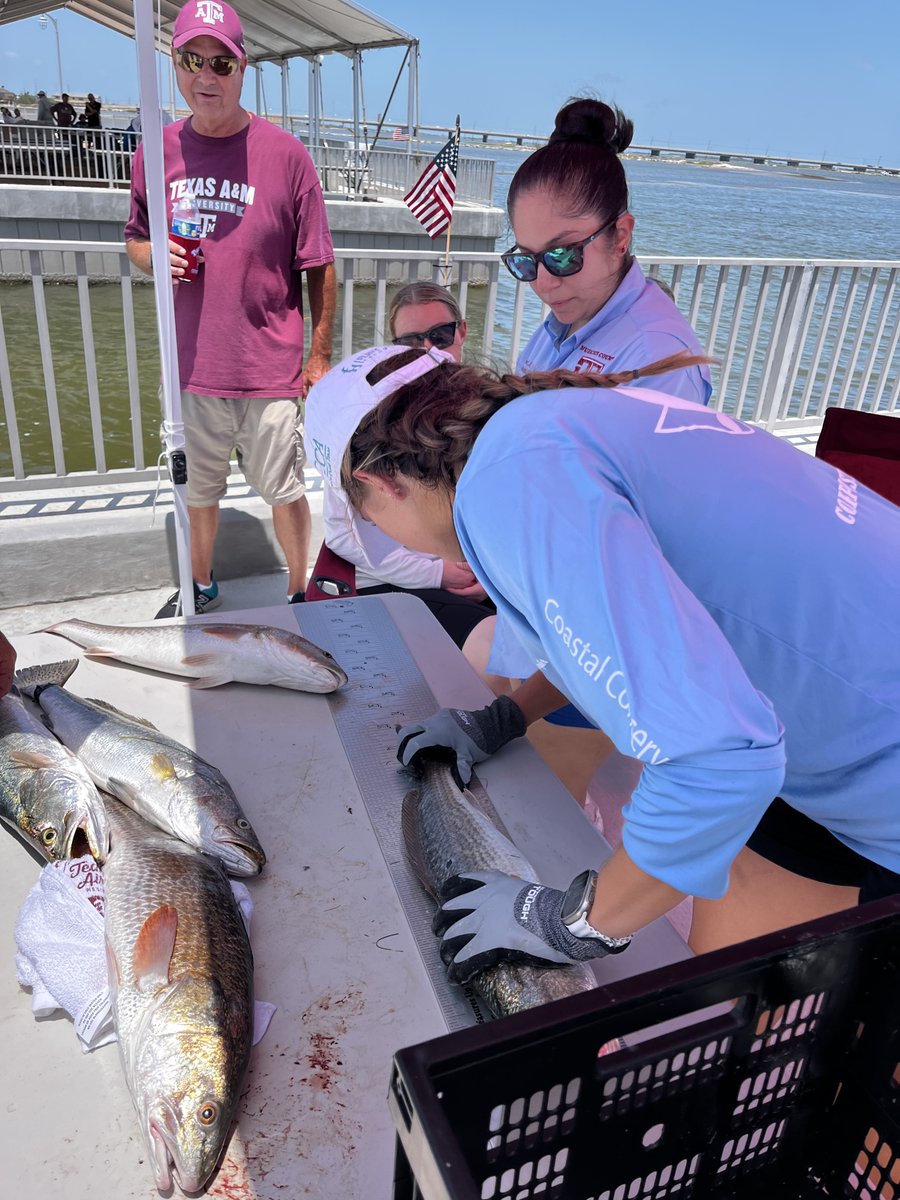 Sportfish Center tweet media