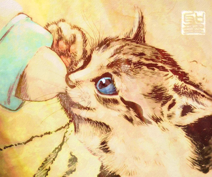 おはこんばんちは