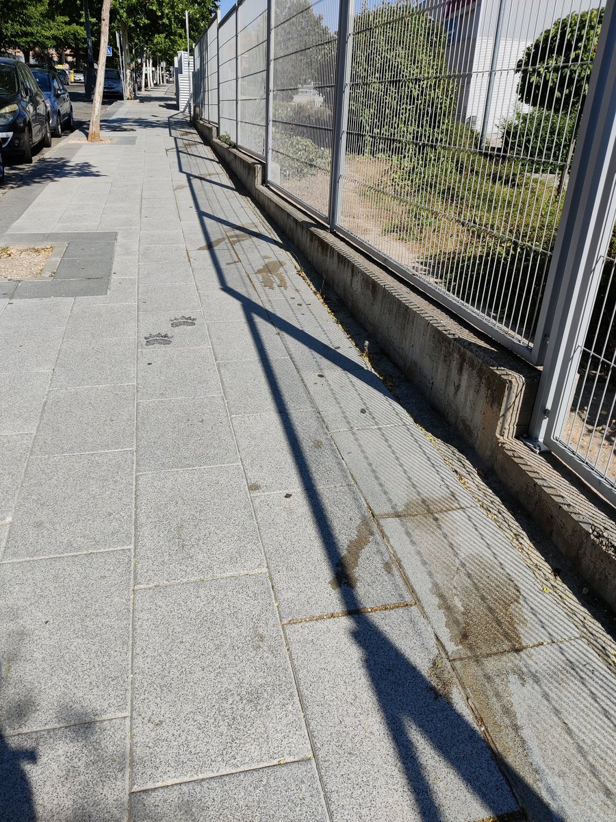 sperali's tweet photo. @AytoParacuellos Así está la entrada del colegio Antamira  en la calle de los Cuadros por donde transitan muchos niños pequeños, incluso teniendo el Pipican y zonas acondicionadas muy cerca. No hay adjetivos para calificar tal comportamiento, por favor actúen en consecuencia. https://t.co/hgkNYOFbfI