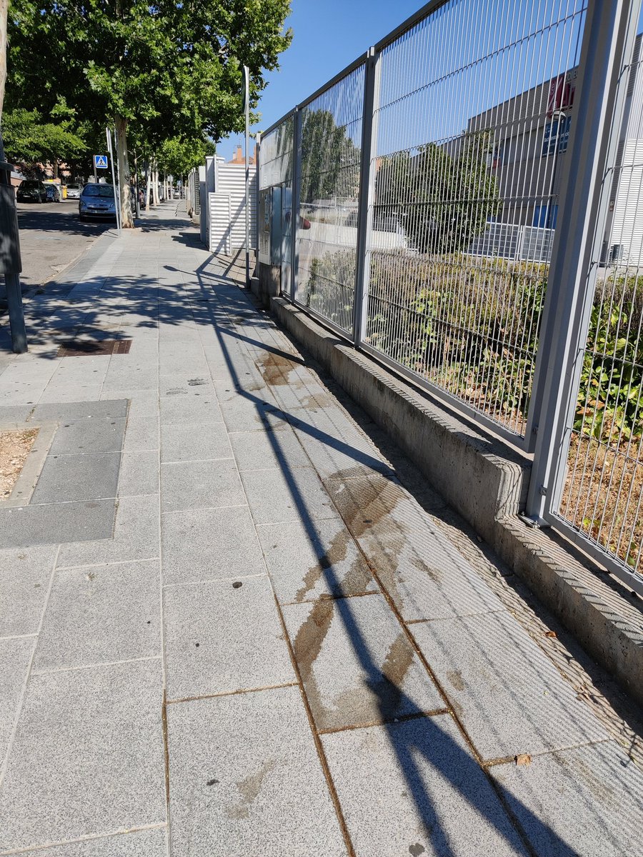 sperali's tweet photo. @AytoParacuellos Así está la entrada del colegio Antamira  en la calle de los Cuadros por donde transitan muchos niños pequeños, incluso teniendo el Pipican y zonas acondicionadas muy cerca. No hay adjetivos para calificar tal comportamiento, por favor actúen en consecuencia. https://t.co/hgkNYOFbfI