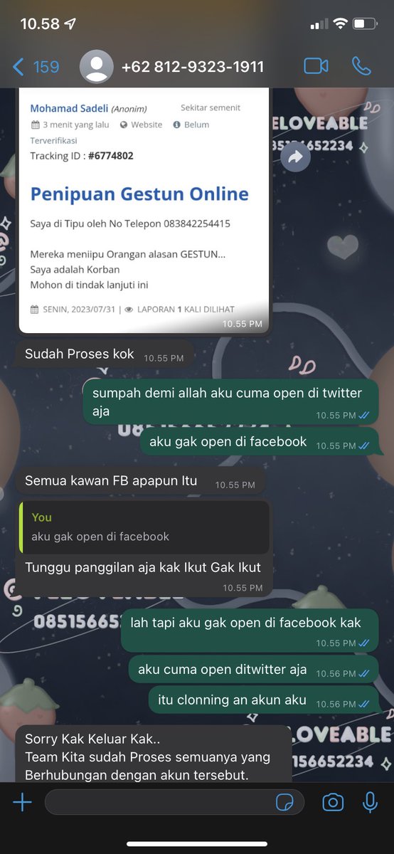 ғеʟ⋆ open wa only—• tweet media