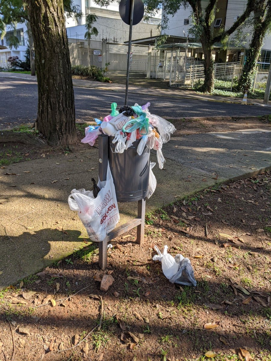 Lauro Pecktor tweet media