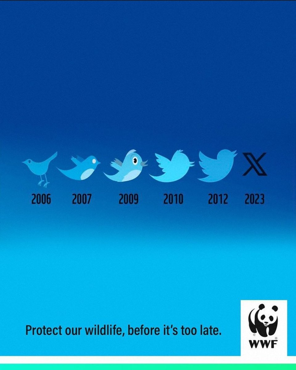jkhater's tweet photo. RIP Larry 🐦 via WWF and McCann Germany https://t.co/MHDMUBZn1z
