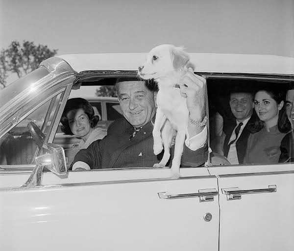 thedragaudio's tweet photo. 🎉 Happy #NationalMuttDay 🐶! On this special day, let's honor the memory of #LadyBird and #LBJ’s cherished mutt, Yuki! Yuki brought warmth and love to the White House and the Ranch, touching the hearts of many. We have a Yuki bonus episode in store for y’all, stay tuned! 🐾🌟🏛️ https://t.co/7MIHtvpEz7
