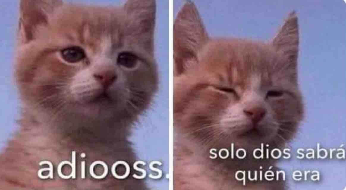 Guarromantico_'s tweet photo. Cuando alguien me saluda pero estoy bien miope. https://t.co/BVeFaCoJ40