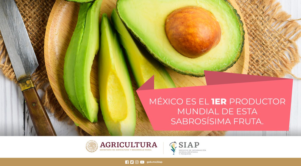 La producción de aguacate en nuestro país durante 2022, fue de 2 millones 540 mil toneladas.
🥑🥑🥑🥑🥑🥑🥑🥑
#Diainternacionaldelaguacate
#AgriculturaMexicana
#ProducciónAgrícola