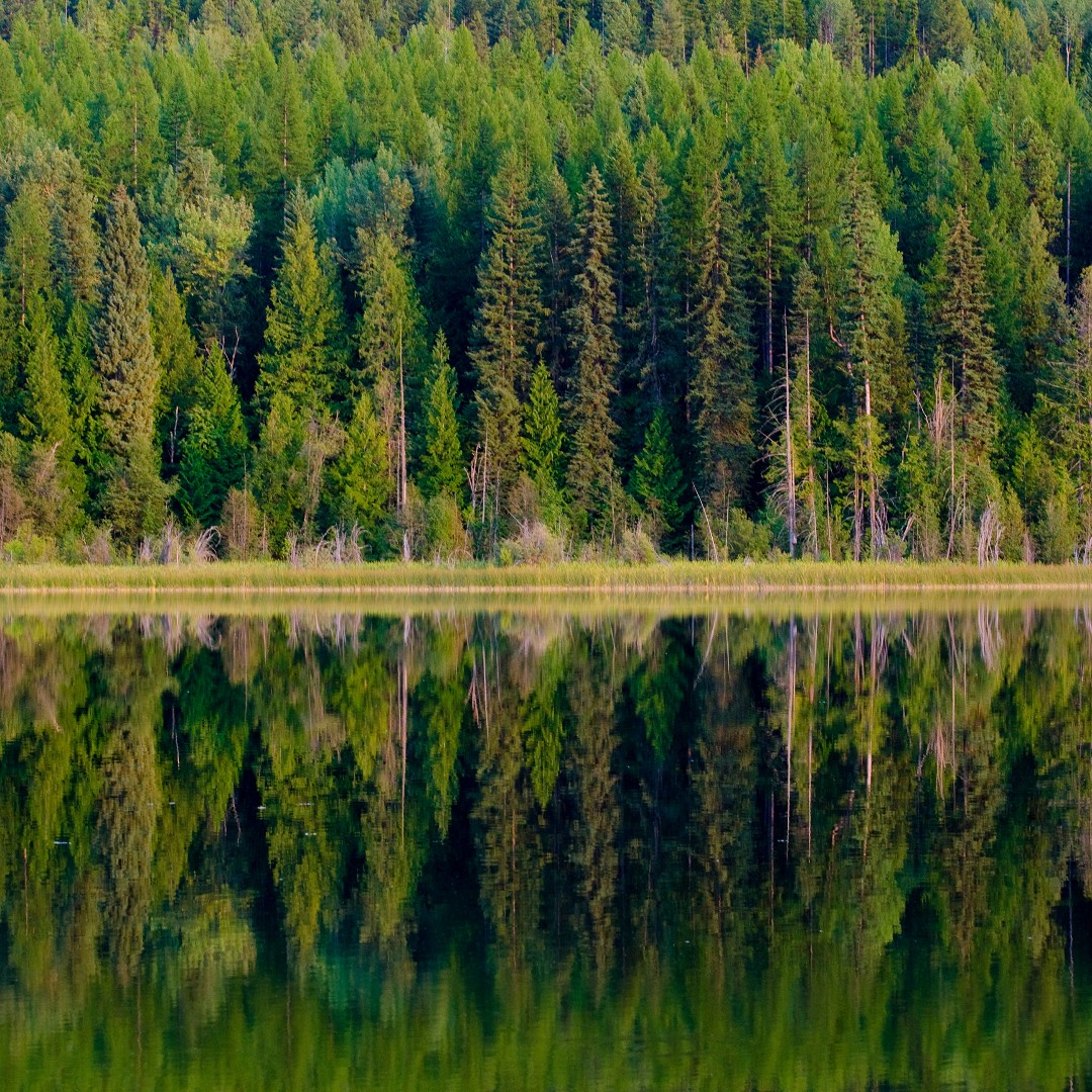 Wilgress Lake 🤤 😍

Between the towns of Greenwood and Grand Forks lies Wilgress Lake, in Boundary Country. Don't forget your fishing rod, kayak, or canoe! 

📷 Boundary Country/Darren Robinson
#BoundaryCountry #Greenwood #GrandForks #ThompsonOkanagan