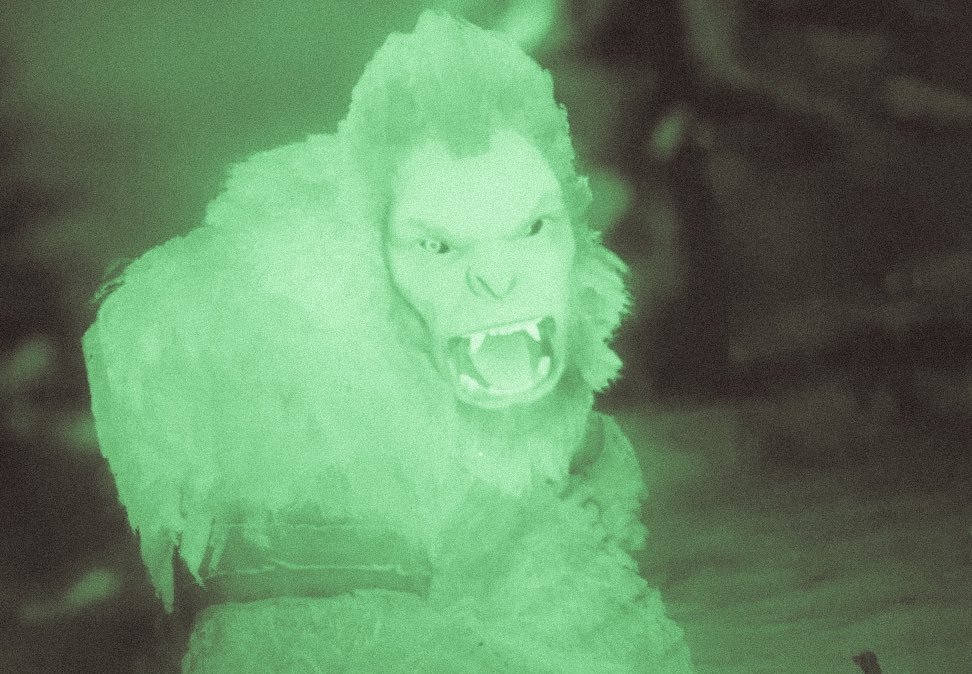 zappyosss's tweet photo. out now !! bigfoot is hunting us…

https://t.co/KzM2OoIBaE https://t.co/iemfT8vNZb