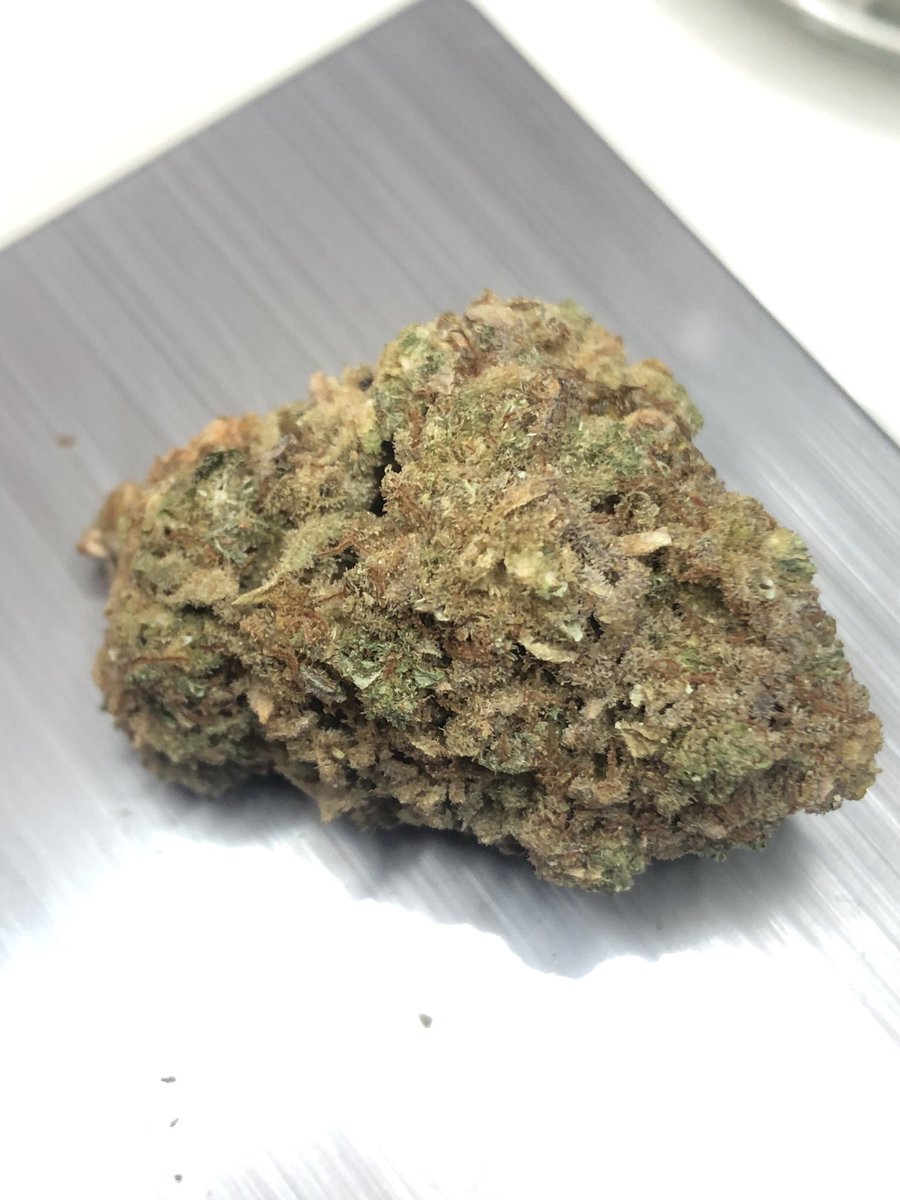 GrowAllDay420's tweet photo. เริ่มต้นเพียงแค่ 100 บาท เท่านั้น!!!
ยินดีให้บริการเสมอครับ สนใจสินค้าจากฟาร์มเรา ส่ง-ปลีก ติดต่อมาได้ที่ https://t.co/bsXOnlx0CE

#กัญชา #กัญชาog #กัญชาออแกนิค #กัญชากรุงเทพ #กัญชานอก #420day #กัญชาราคาส่ง #ศรีนครินทร์ #Thailand #สมุทรปราการ #รัชดา #แพรกษา #กัญชาราคาถูก #รังสิต https://t.co/fxAhECq9eR