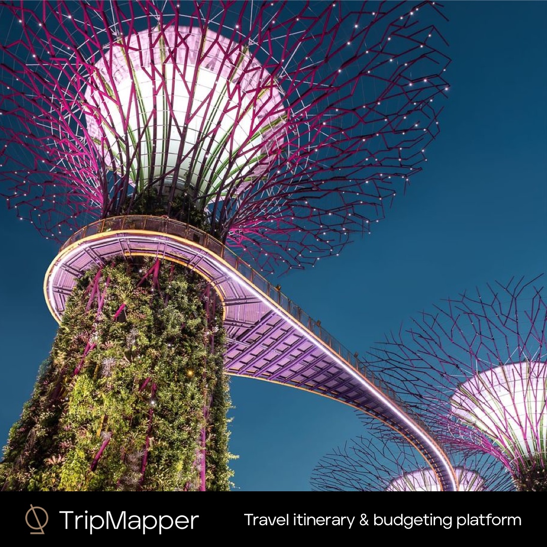 TripMapper tweet media