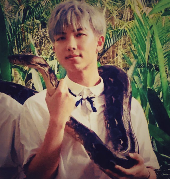 StefanieBe_'s tweet photo. 🐍🐍🐍🐍
#ARSD #ARMYSelcaDay @BTS_twt https://t.co/Xxe9yuCNDW