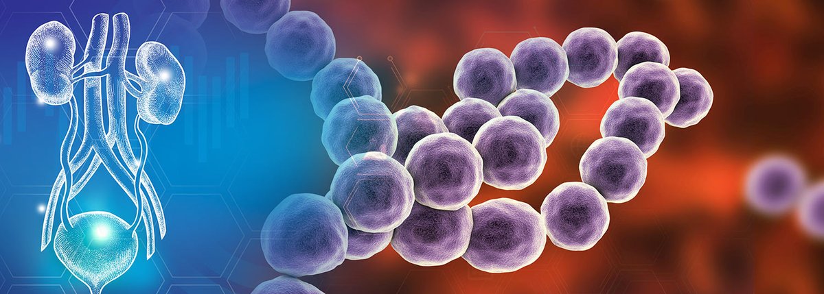 In a study published earlier this month, researchers from IHV discovered that a bacterial protein causes genomic instability and contributes to reduced fertility, and birth defects.

Learn more about the study and its findings: ihv.org/news/2023-News…