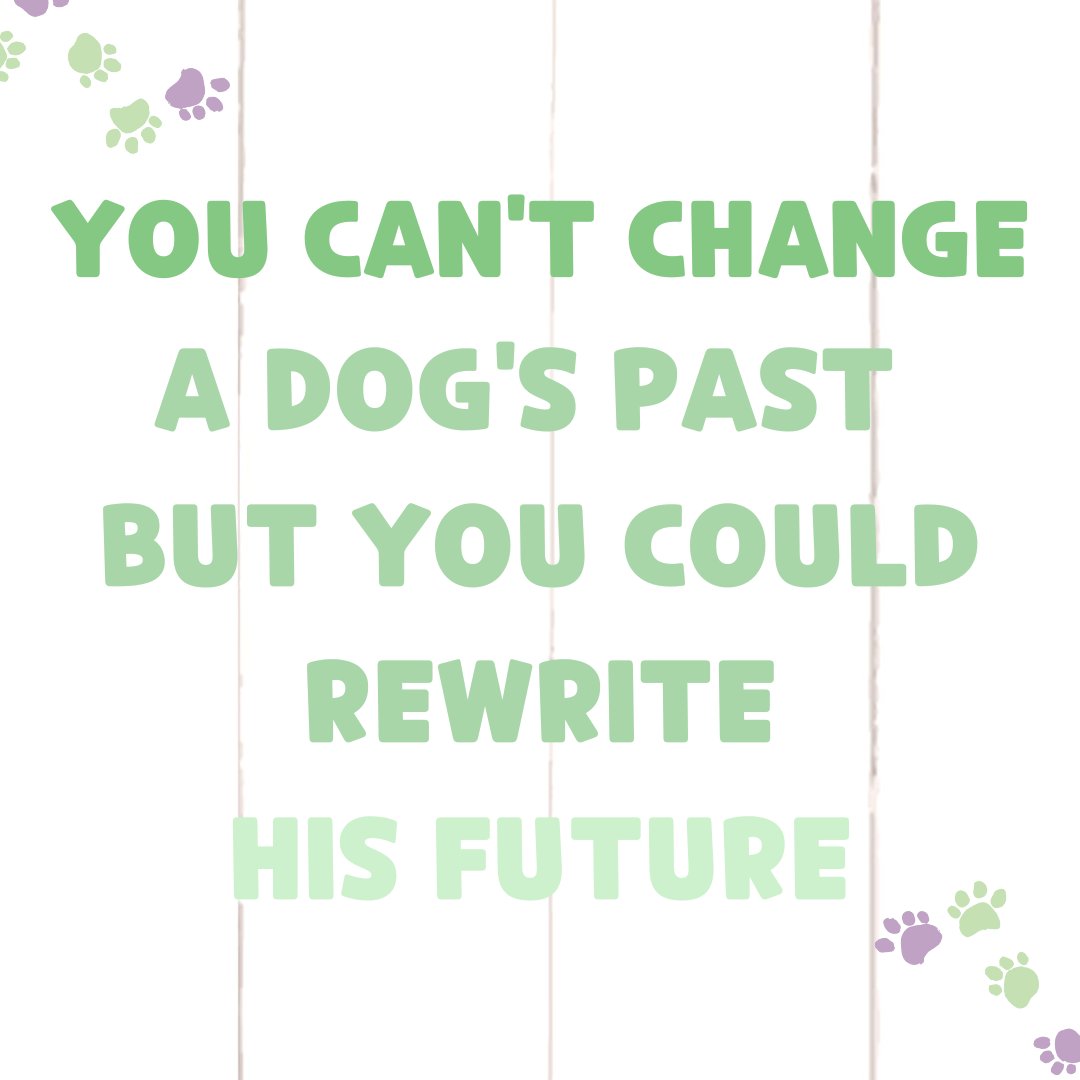 NatureGnaws's tweet image. 💚You can&apos;t change a dog&apos;s past but you could rewrite his future 🐶💚

#muttsoftwitter #naturegnaws #loveyourpets #mondaymotivation