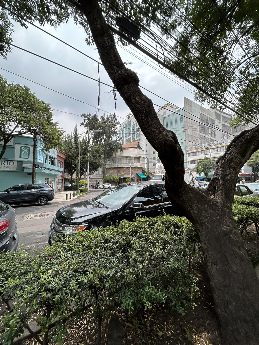 Musicons's tweet photo. @sjitescucha tianguis de los sábados en J Velasco @sanjoseinsurgen coloca extensión que deja conectada toda la semana @PAOTmx además de amarres en varios 🌳🌳🌳 https://t.co/7khJ6fokKM