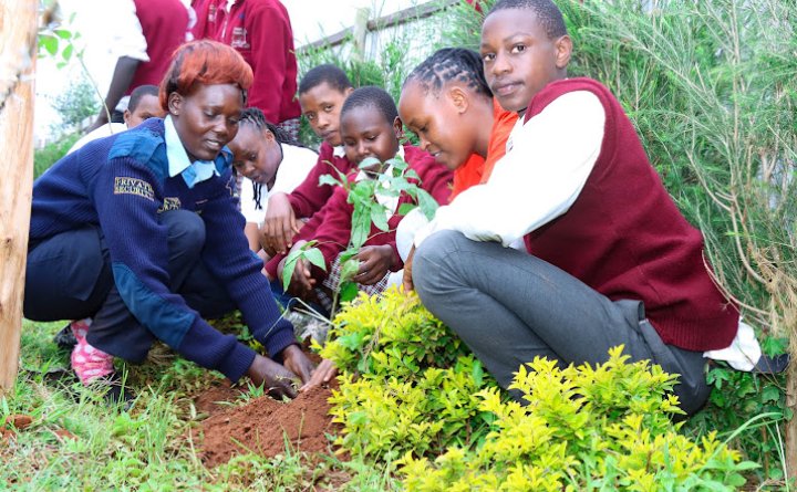 onechildonetree's tweet photo. Our Chief Guest Environmentalist Laura Sang -Chebo Nandi in action at One Child One Tree Africa Ziwa High School Edition.
Barikiwa Sana and keep inspiring us to Action.
#onechildonetree #PandaMitiLindaMazingira https://t.co/wU7tax1R4N