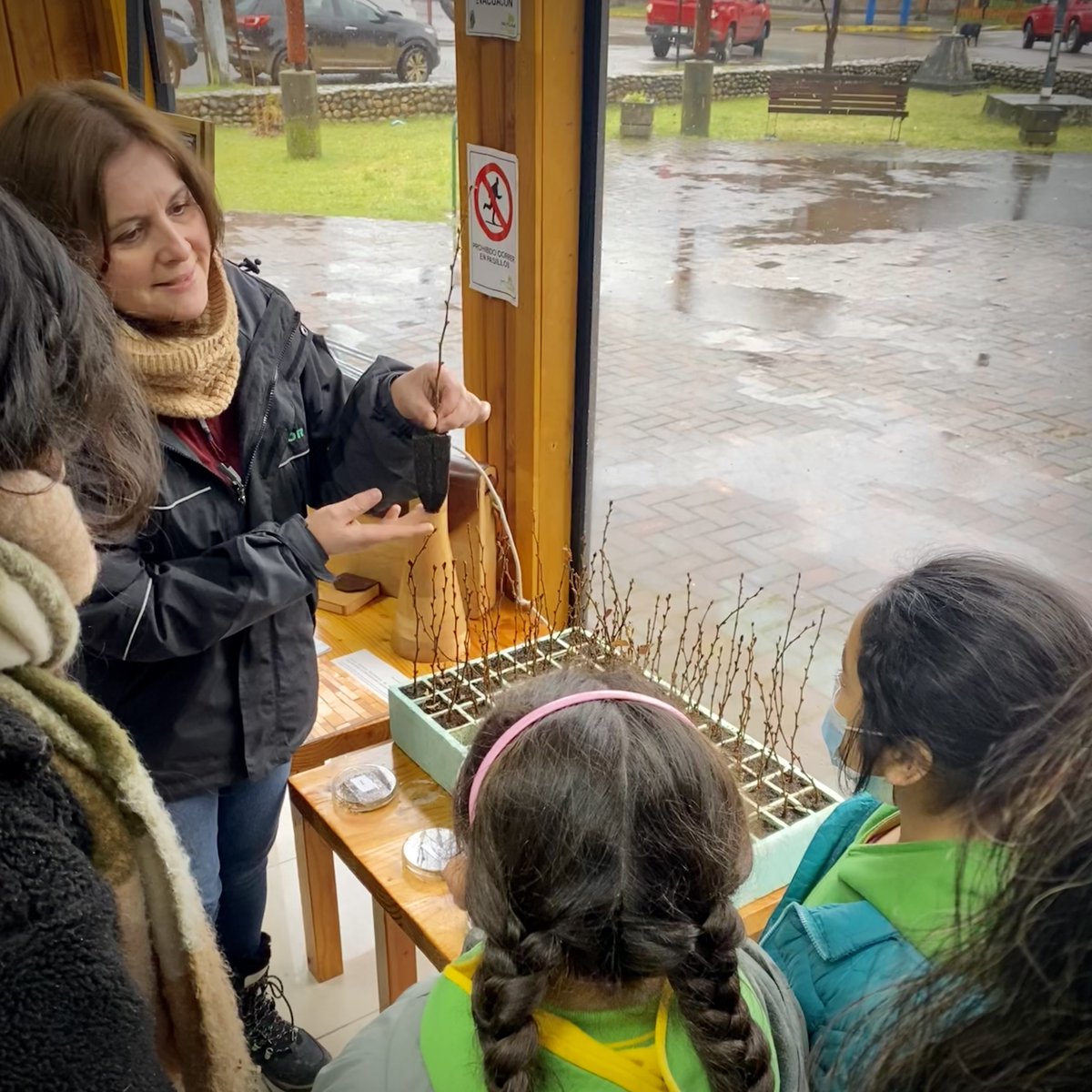 INFOR_Patagonia's tweet photo. INFOR Patagonia muestra las diferentes áreas de trabajo e investigación que desarrolla en la región de Aysén en #PlazaCiudadana “Agricultura y Mujer Campesina”, junto a los servicios del Agro, organizada por la @dppaysen hoy en Puerto Aysén. https://t.co/vbmsI04Y3N