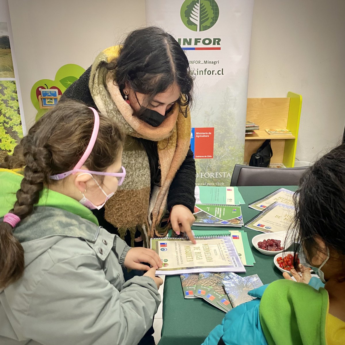 INFOR Patagonia muestra las diferentes áreas de trabajo e investigación que desarrolla en la región de Aysén en #PlazaCiudadana “Agricultura y Mujer Campesina”, junto a los servicios del Agro, organizada por la <a href="/dppaysen/">Delegación Presidencial Provincial de Aysén</a> hoy en Puerto Aysén.