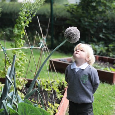 OakbridgeSchool's tweet photo. #NewProfilePic https://t.co/IgOCVIJkdB