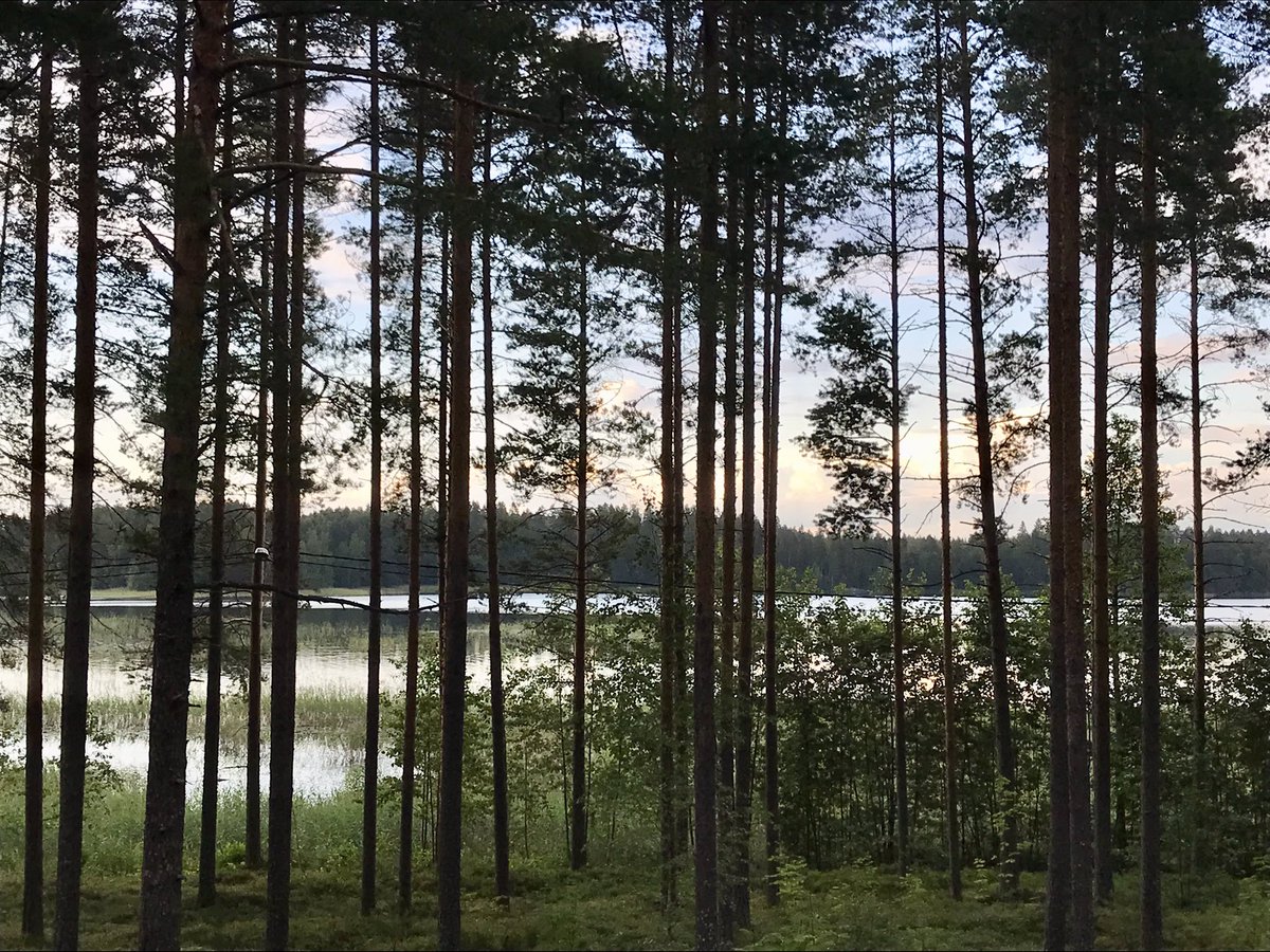 Sfc_Hubert's tweet image. Back from a two weeks roadtrip in Eastern Finland. It was great to (re)discover the beautiful #Savonlinna, #Joensuu, #Koli, #Kuopio, #Kerimäki, #Punkaharju, #Imatra, #Lappeenranta and #Kotka.
And I even had the opportunity to fly in a seaplane!