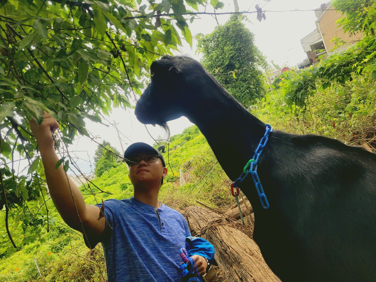 the greatest of all time event happened. move over Taylor Swift, Goat Fest was here in Pittsburgh 🐐