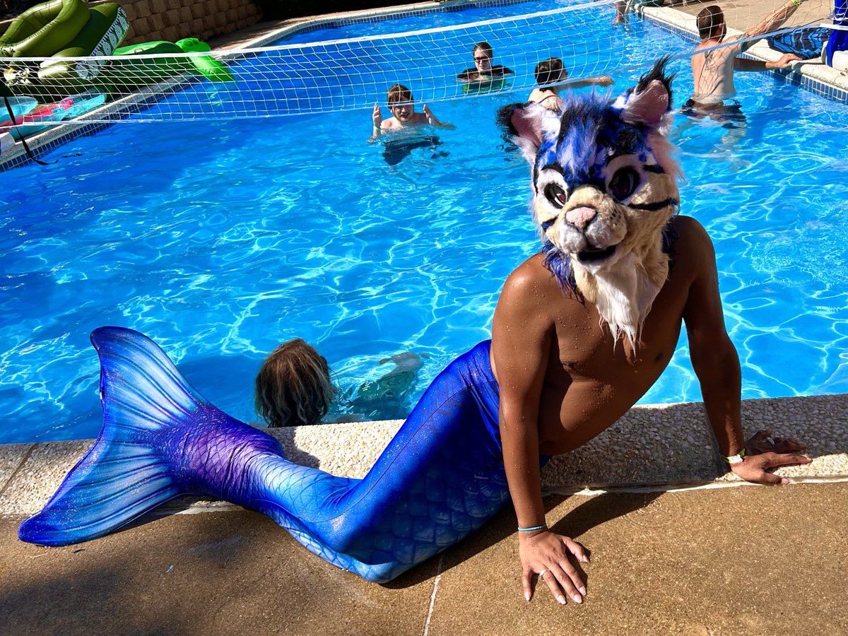 furbraska's tweet photo. Furbraska Pool Party 2023! https://t.co/kIymVnKLkk