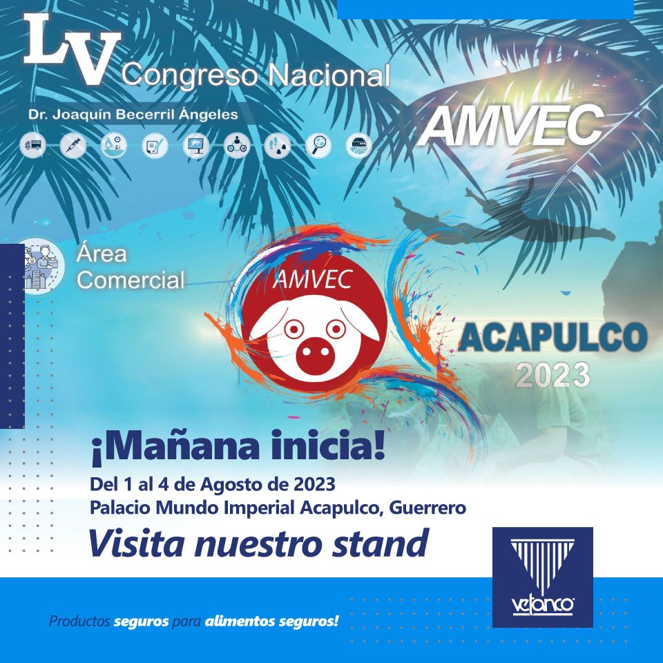 VetancoMexico's tweet photo. Mañana inicia el LV Congreso Nacional AMVEC 2023, del 1 al 4 de agosto, en el Palacio Mundo Impersial Acapulco, Guerrero. Visita nuestro stand en el área comercial.

#VetancoMéxico #Vetanco #AMVEC #SomosVetanco #Porcicultura #BVScience #Cerdos https://t.co/Ai5nh0m1la