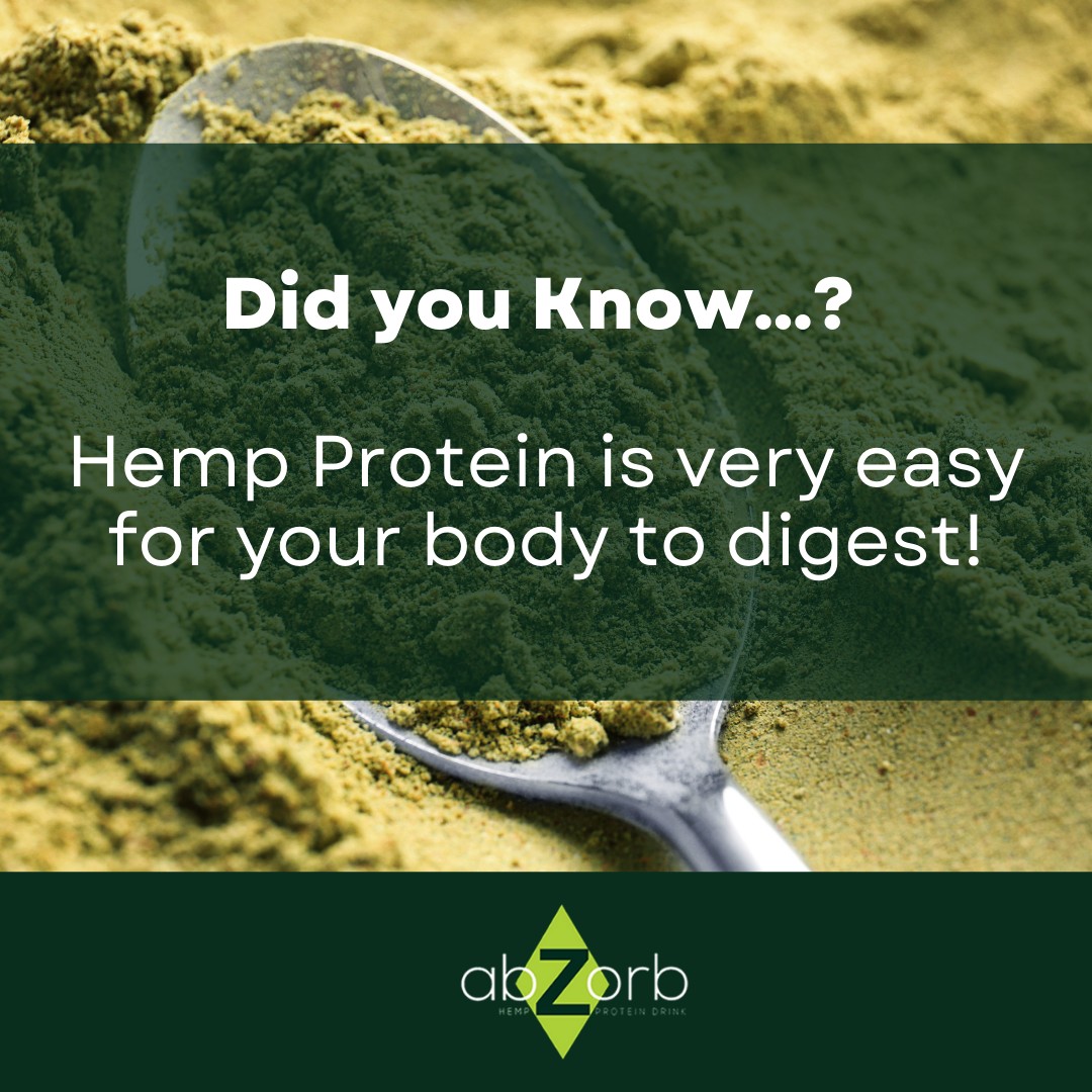 Easily digestible hemp protein! 🌿💪 Up to 98% usability for muscle building and more. Learn more below! #HempProtein #CBD #Delta8THC (Src: Forbes Video: @sandstonecare) 📚🌱